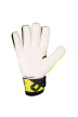 Power Shield IV