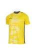 Maillot de football unisexe Stanno Holi Shirt II 100% polyester recyclé