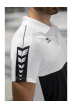 Polo Six Wings
